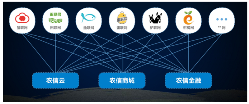 農信互聯完成3.64億B輪融資,估值74億元成為農業獨角獸