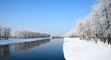 我國冷鏈物流產業處于四