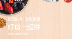 社區團購平臺“松鼠拼拼
