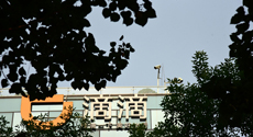 相互寶、京東互保之后，