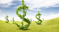 綠色金融 | 構建統一的中