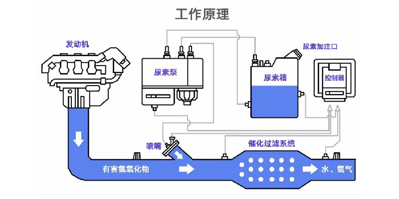G7與可蘭素達成戰略合作