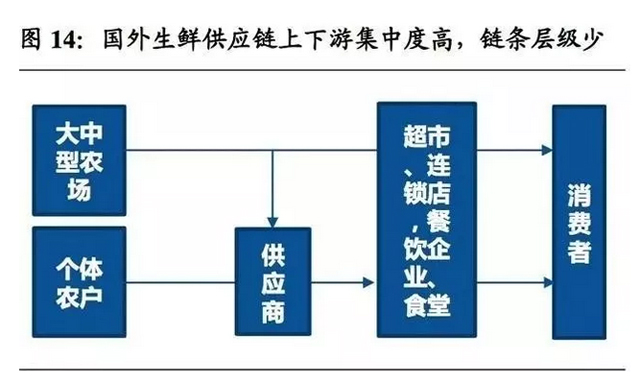 掘金萬億生鮮B2B,哪類企業能勝出?