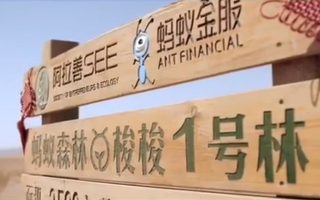 支付寶螞蟻森林獲聯合國2019年“地球衛士獎”