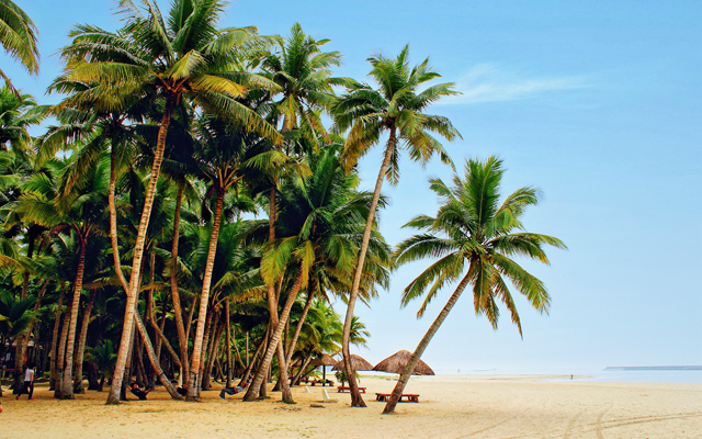 海南自貿港首個保稅物流中心獲批，預計今年10月底開工