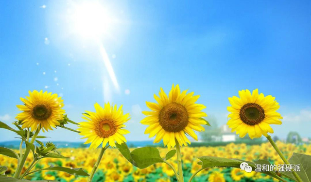 對我們來說，北京證券交易所意味著什么？